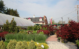 Garden Center Nursery Eldersburg MD