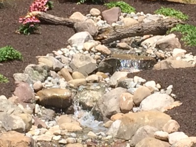 Stream Carroll County MD