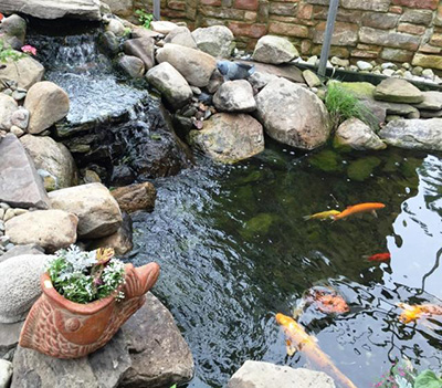 Waterfall Pond Contractor MD